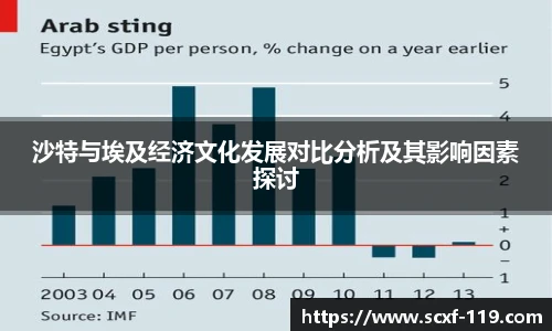 沙特与埃及经济文化发展对比分析及其影响因素探讨